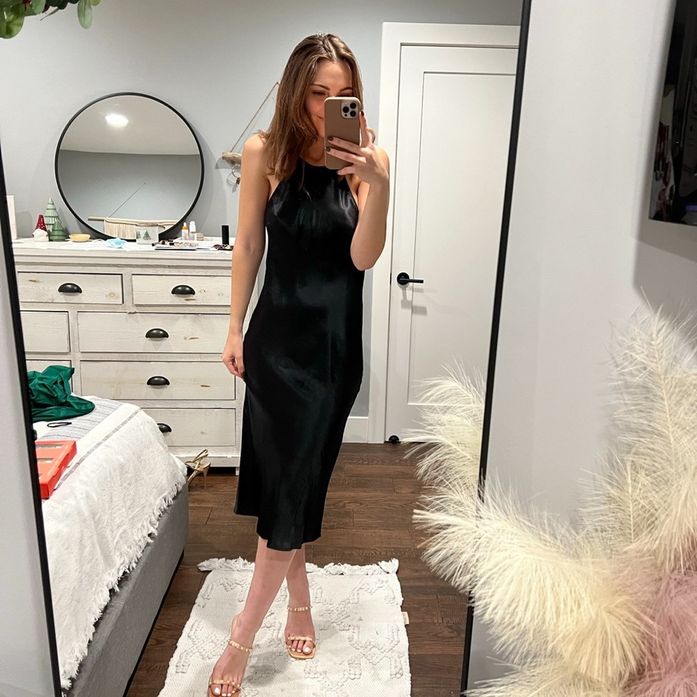 Aritizia Babaton Silk Dress